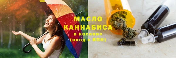 индика Волосово