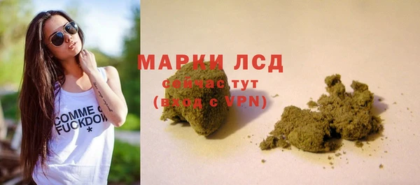 сатива Верхнеуральск