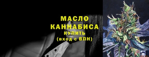 индика Волосово