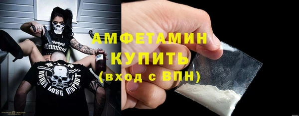 индика Волосово