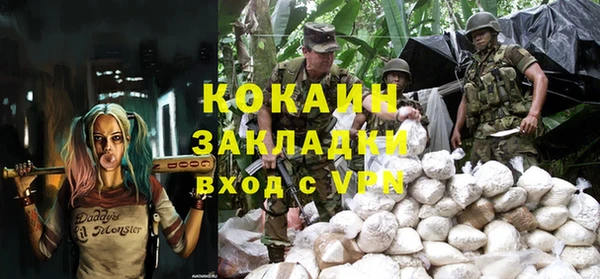 индика Волосово