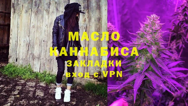 индика Волосово