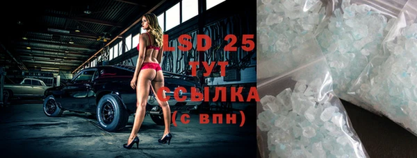индика Волосово