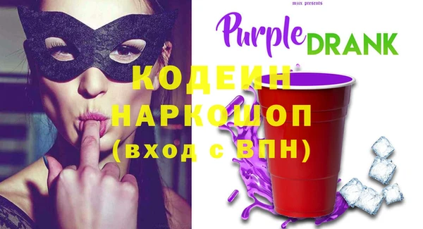 индика Волосово