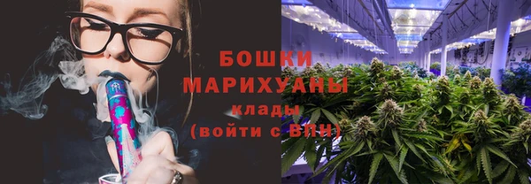 индика Волосово