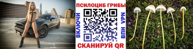 Галлюциногенные грибы мицелий  Купить закладки  Новодвинск 